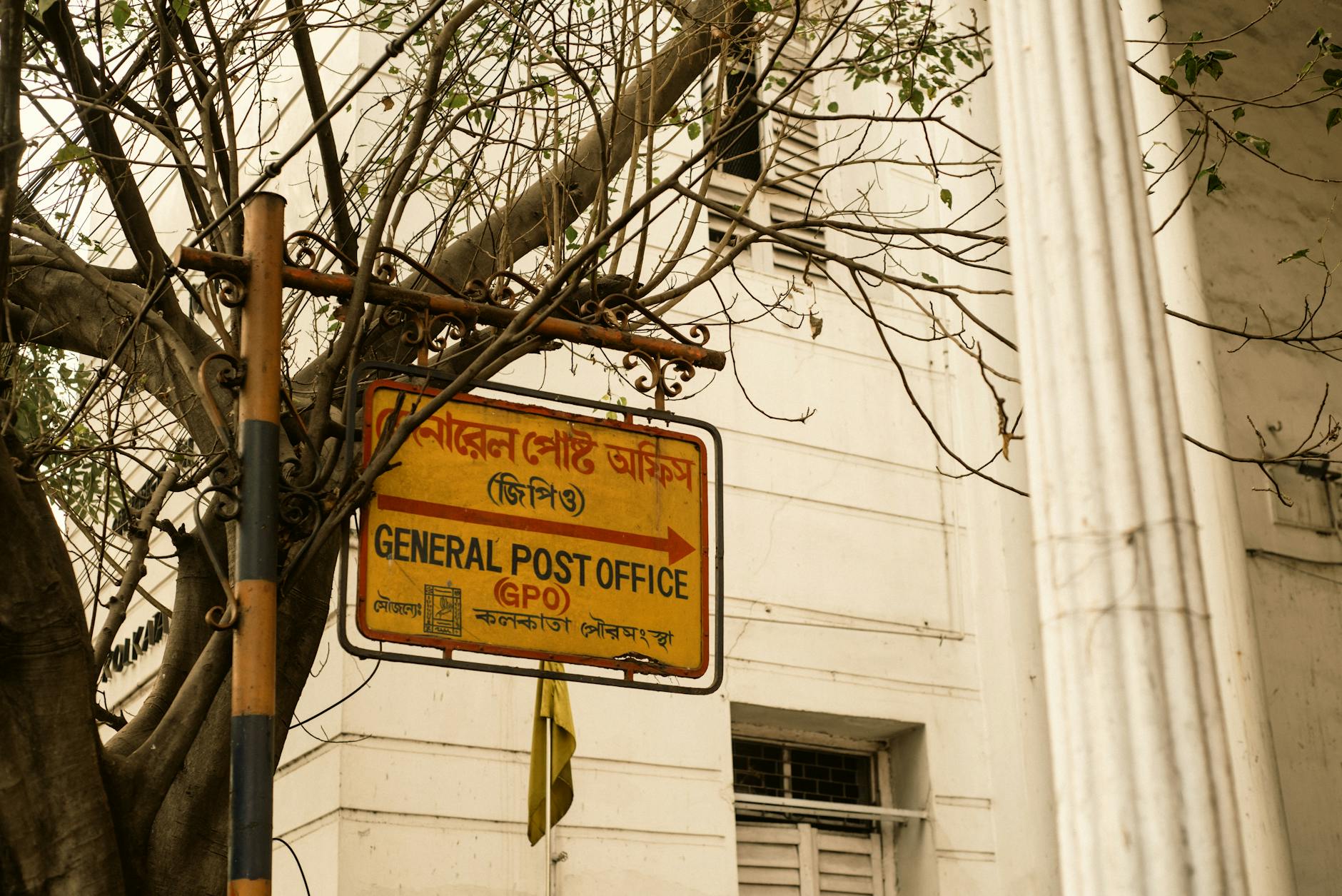 Ekip Çalışması - Veteriner & Pet Klinik Türkiye